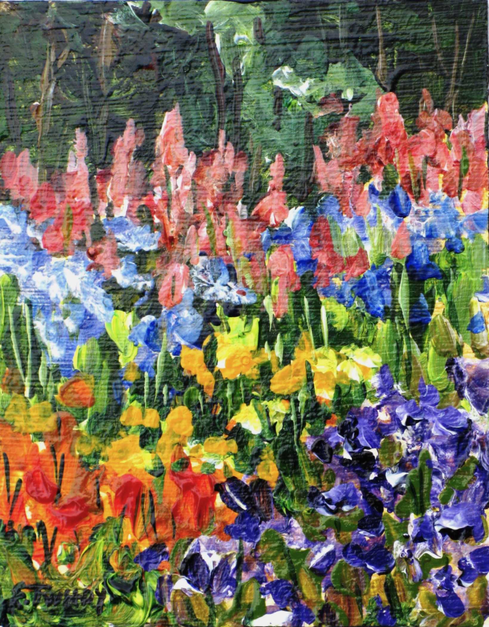 Elaine Tweedy - Dappled Pleasure Devonian Botanic Gardens