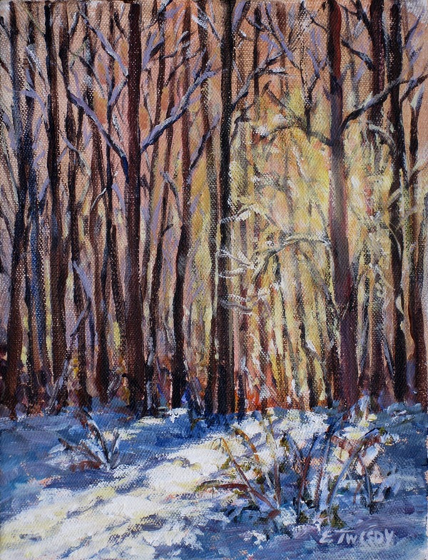 Elaine Tweedy - Winter Glow
