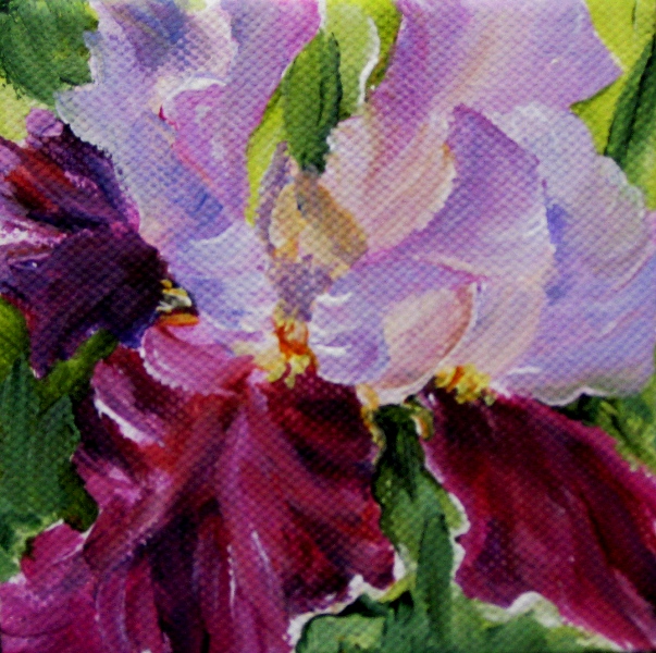 Elaine Tweedy - Purple Iris (SOLD)