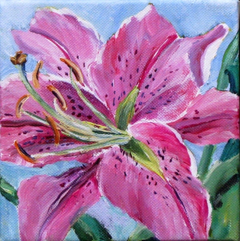 Elaine Tweedy - Pink Lily (SOLD)