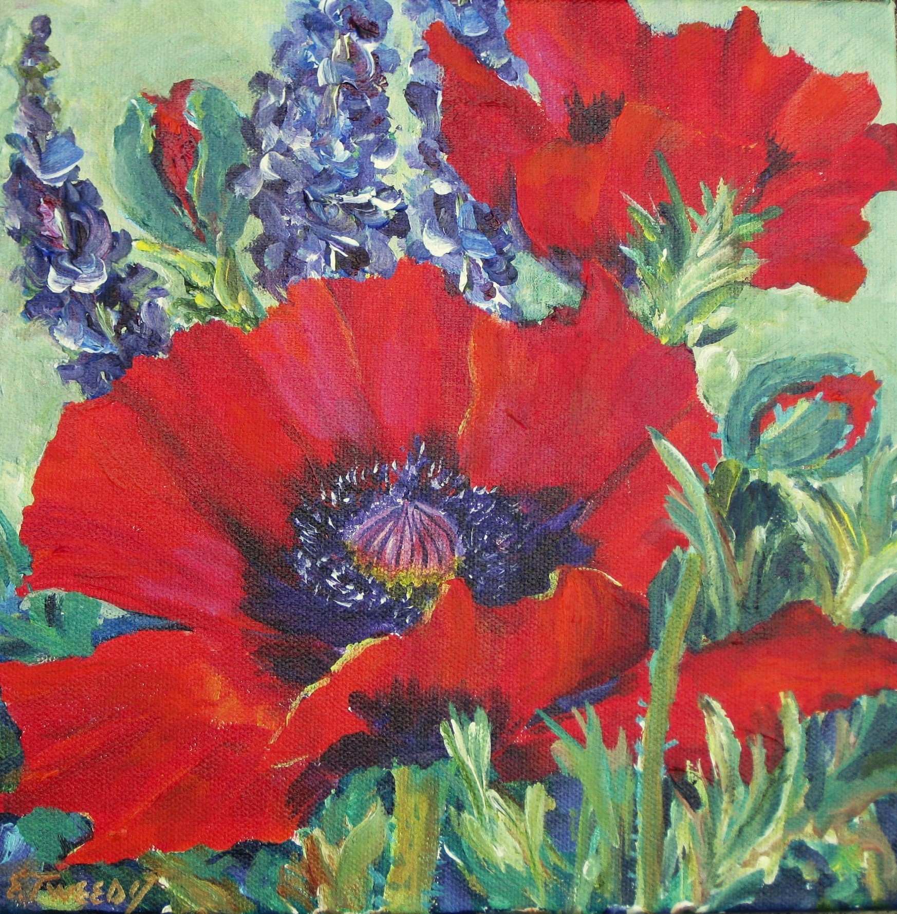 Elaine Tweedy - Garden Poppies