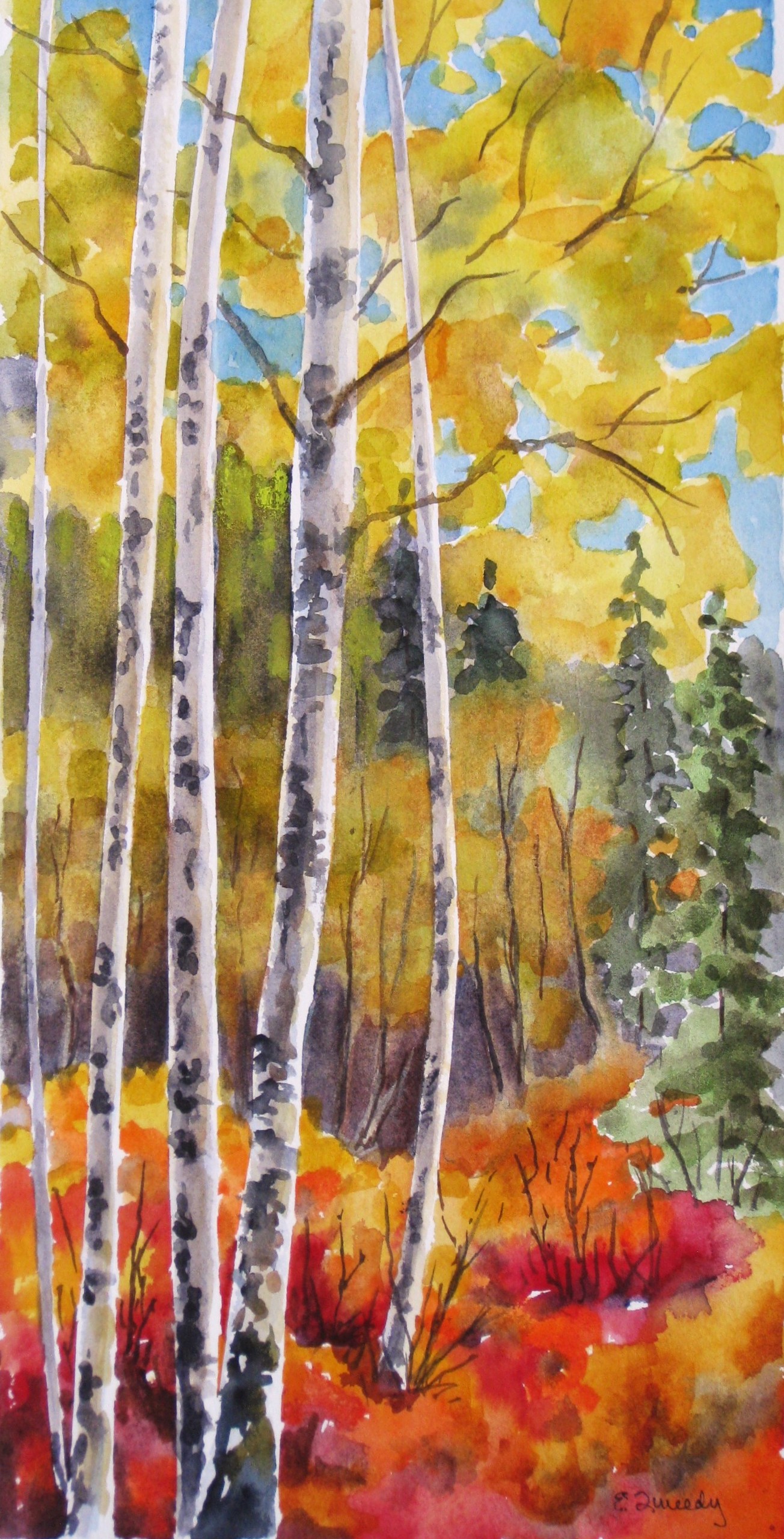 Elaine Tweedy - Autumn on Display