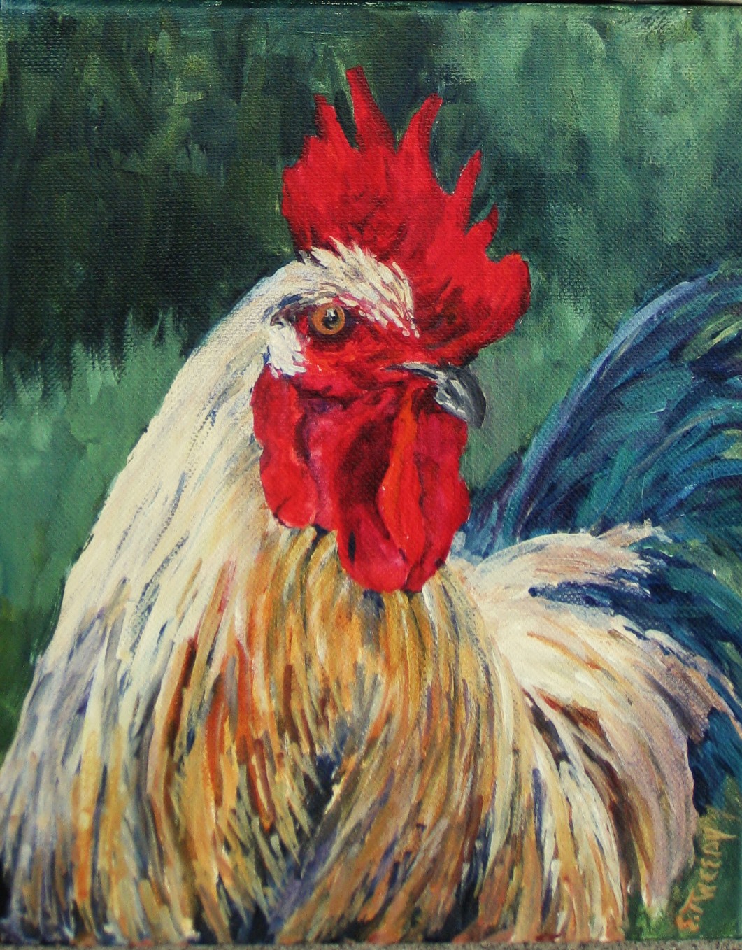 Elaine Tweedy - Macho