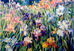 Elaine Tweedy - Dancing Iris