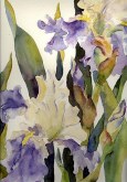 Elaine Tweedy - Lavender Falls
