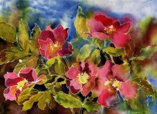 Elaine Tweedy - Wild Roses (SOLD)
