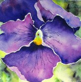 Elaine Tweedy - Purple Pansy