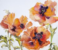 Elaine Tweedy - Springtime Poppies (SOLD)