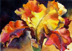 Elaine Tweedy - Gold & Red Orange Iris (SOLD)