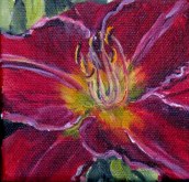 Elaine Tweedy - Happy Collection Daylily II