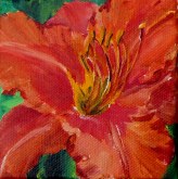 Elaine Tweedy - Happy Collection Day Lily IV