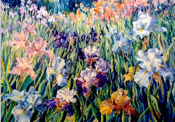 Elaine Tweedy - Dancing Iris