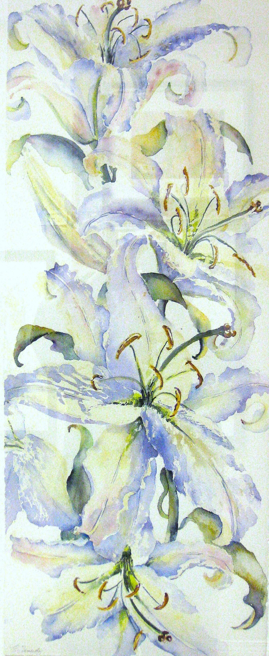 Elaine Tweedy - Dancing Lily II