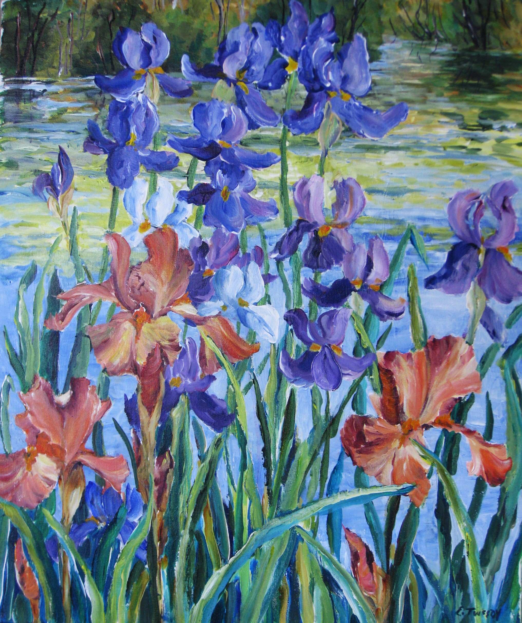 Elaine Tweedy - Iris Garden III