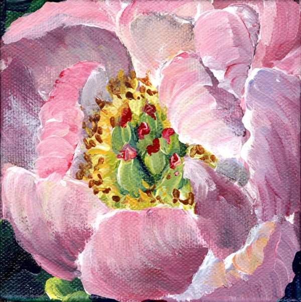 Elaine Tweedy - Pink Peony (SOLD)