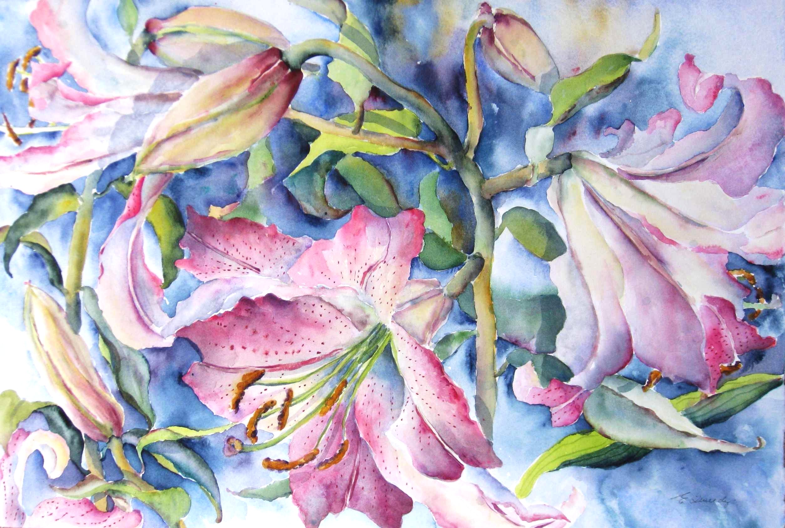 Elaine Tweedy - Pink Oriental Lily