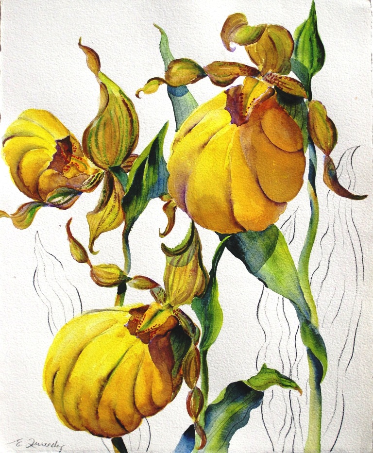 Elaine Tweedy - Woodland Treasurers - Lady Slippers (SOLD)