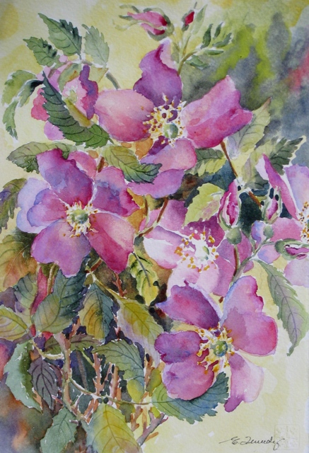 Elaine Tweedy - Alberta Wild Rose I (SOLD)