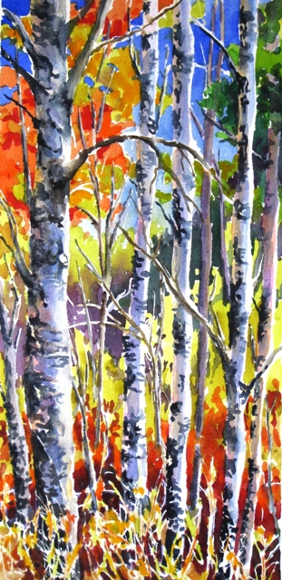 Elaine Tweedy - Sunlight though the Aspen (Sold)