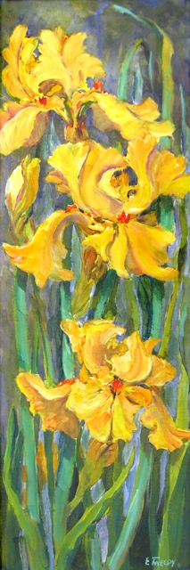 Elaine Tweedy - Three Yelow Iris (sold)