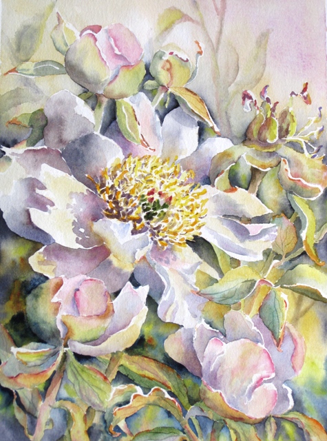 Elaine Tweedy - The Artist's Peony (sold)