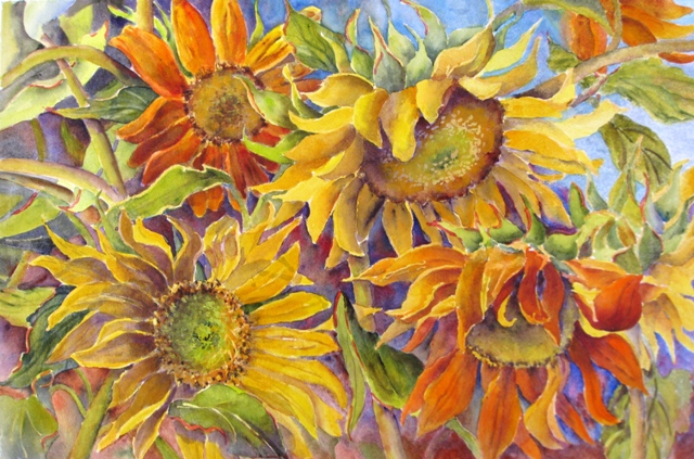 Elaine Tweedy - Sunseekers