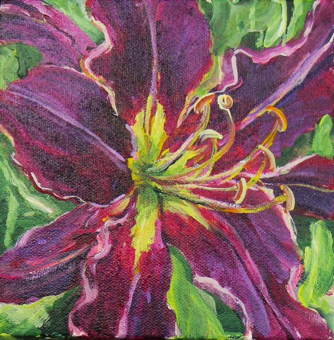 Elaine Tweedy - Maroon Daylily