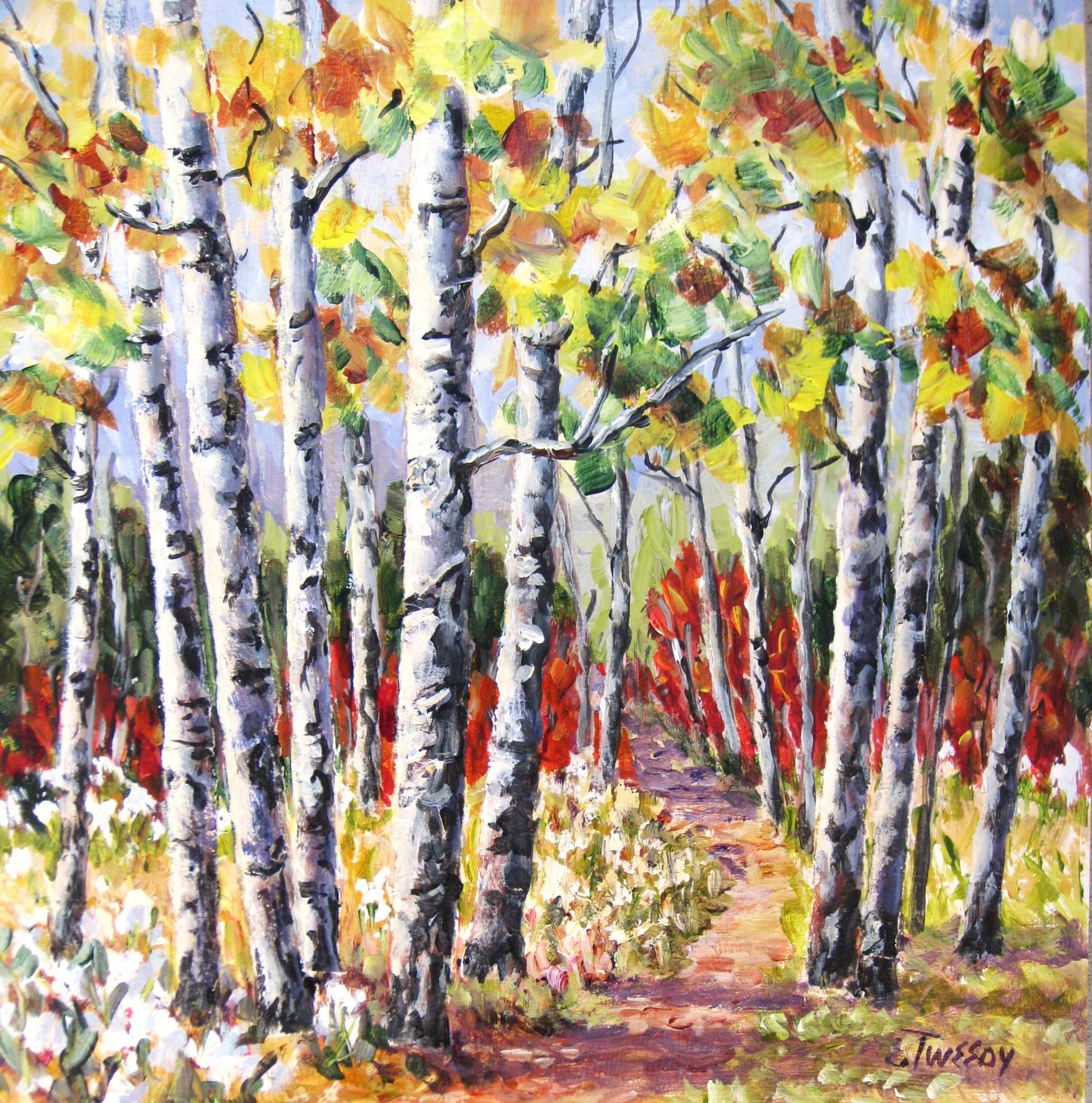 Elaine Tweedy - Sunlit Path Through the Aspens