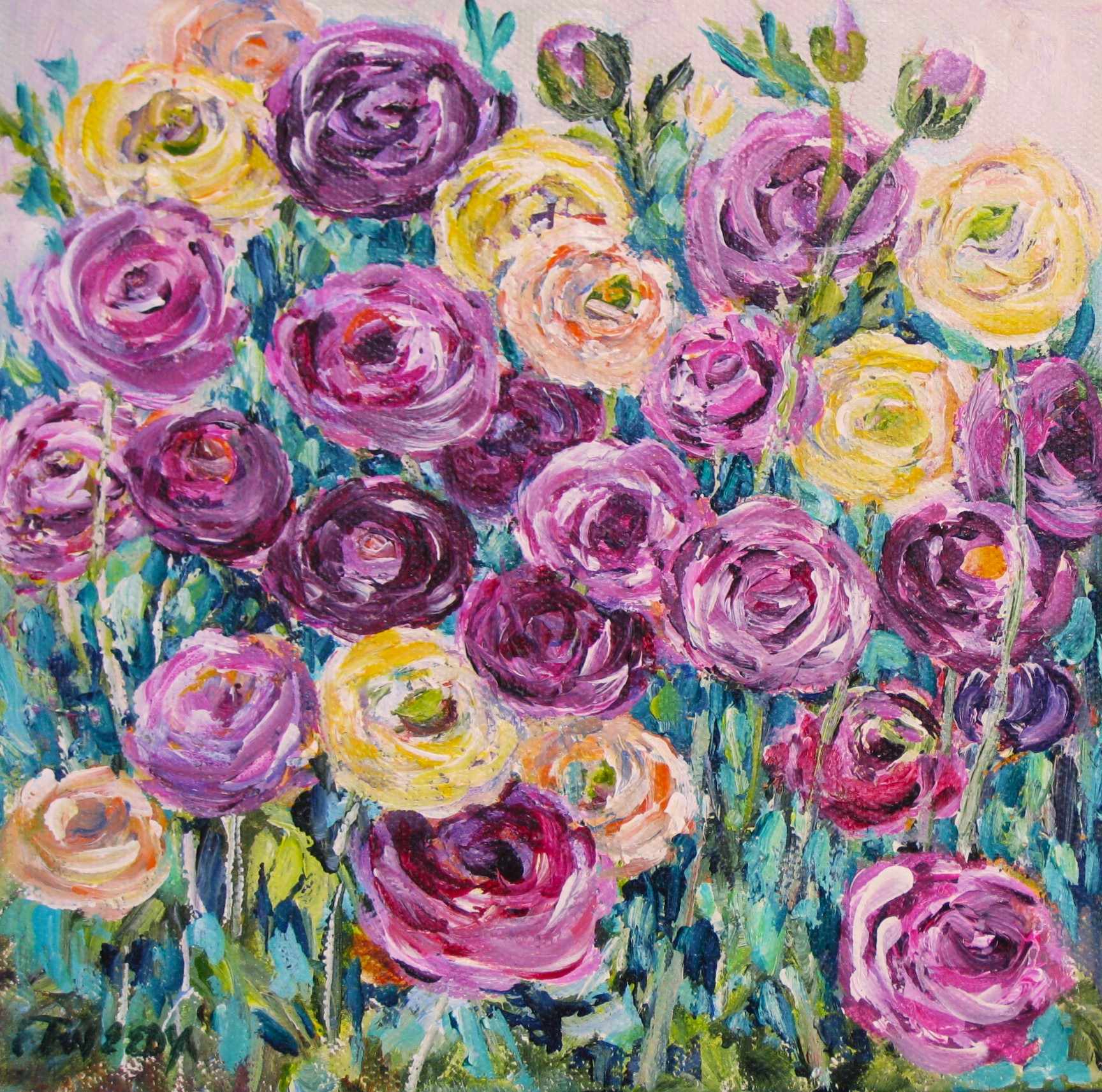 Elaine Tweedy - Ranunculus