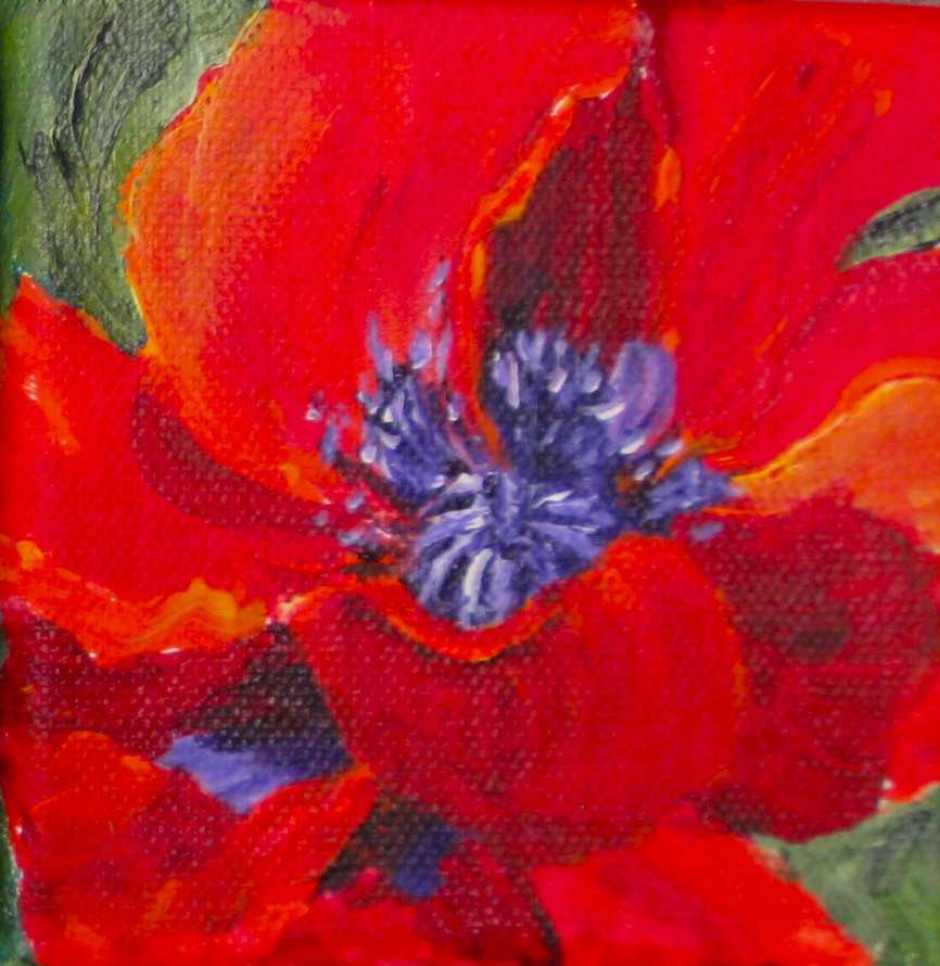 Elaine Tweedy - Happy Collection Scarlet Poppy