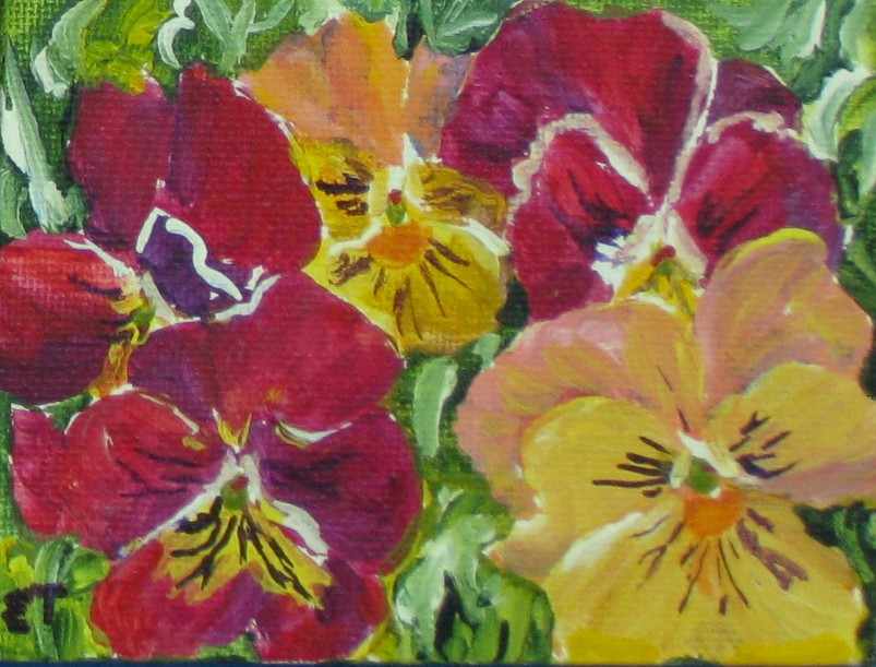 Elaine Tweedy - Re and Yellow Pansies