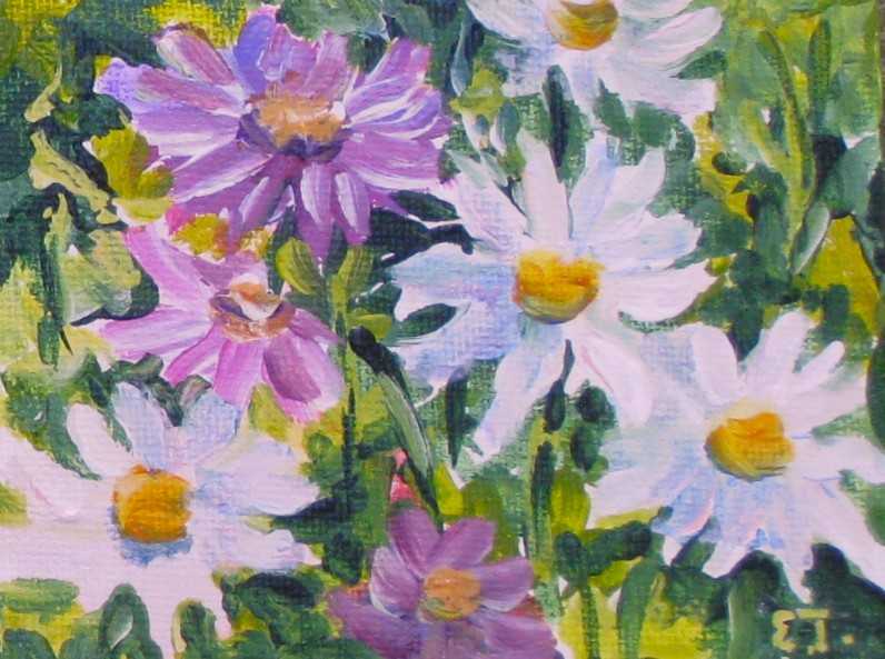 Elaine Tweedy - Daisies