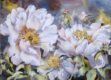Elaine Tweedy - Shades of White 